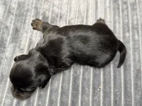 processed/4efce14b-6f25-4d93-8864-e6ea5e4caacc/listing/e39ba0f9-18d0-4393-9eda-a1178ca02170/9adae782-4cb1-4a1d-8b4d-3c553012e122