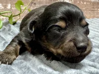 processed/4efce14b-6f25-4d93-8864-e6ea5e4caacc/listing/e39ba0f9-18d0-4393-9eda-a1178ca02170/9bb84652-d02f-42e7-97e4-bb1fe9766f86