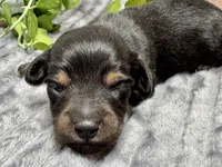 processed/4efce14b-6f25-4d93-8864-e6ea5e4caacc/listing/e39ba0f9-18d0-4393-9eda-a1178ca02170/adea9ba2-f700-4119-b940-a15b24f33eb1