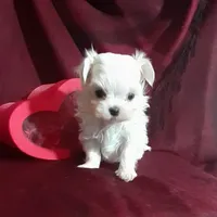 processed/4f02d770-73a5-4c83-b74f-56a70041d13a/facility/ae0f4a40-24c5-4bb2-a1fb-e5d71b9f7f31