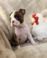 processed/4f062313-cc91-4514-98c6-b47d6c26d8a3/listing/0f85019d-a34a-4d6b-8726-c321e72387e7/56f2bbc4-6025-41a8-ac7a-27a960f3fc9a