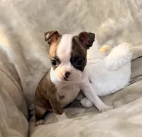 processed/4f062313-cc91-4514-98c6-b47d6c26d8a3/listing/0f85019d-a34a-4d6b-8726-c321e72387e7/92e9a2be-91c1-4067-8cfe-fb5ea04d7e14