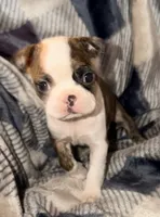 processed/4f062313-cc91-4514-98c6-b47d6c26d8a3/listing/0f85019d-a34a-4d6b-8726-c321e72387e7/9469116c-6540-4ebf-a334-0791a7920491