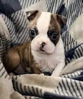 processed/4f062313-cc91-4514-98c6-b47d6c26d8a3/listing/0f85019d-a34a-4d6b-8726-c321e72387e7/c31dc5a7-de9e-4af4-a5bc-b7cbf27c04b6