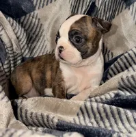 processed/4f062313-cc91-4514-98c6-b47d6c26d8a3/listing/0f85019d-a34a-4d6b-8726-c321e72387e7/de20453b-af51-4c48-b746-310ba269f048