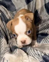 processed/4f062313-cc91-4514-98c6-b47d6c26d8a3/listing/33409a2a-c237-4ae4-ba48-456b151532c1/60e2d187-0d36-4fee-933e-ffb9d1797d24