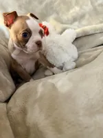 processed/4f062313-cc91-4514-98c6-b47d6c26d8a3/listing/33409a2a-c237-4ae4-ba48-456b151532c1/9256bae0-29a3-404f-bfb8-649254ae0874