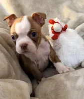 processed/4f062313-cc91-4514-98c6-b47d6c26d8a3/listing/33409a2a-c237-4ae4-ba48-456b151532c1/957b5a34-e2b5-4597-b40a-ca372e0d33cc