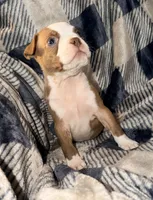 processed/4f062313-cc91-4514-98c6-b47d6c26d8a3/listing/33409a2a-c237-4ae4-ba48-456b151532c1/e85106ae-3ceb-43c9-ae75-be2ef6efbd06