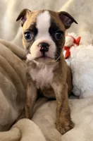 processed/4f062313-cc91-4514-98c6-b47d6c26d8a3/listing/acb0a358-1eba-41d7-908c-b56ca56e6369/4a295a81-23c7-483f-a0c9-26177cabd34d