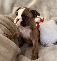 processed/4f062313-cc91-4514-98c6-b47d6c26d8a3/listing/acb0a358-1eba-41d7-908c-b56ca56e6369/68e6be20-f9ea-463c-80f0-70911f552d9a