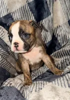 processed/4f062313-cc91-4514-98c6-b47d6c26d8a3/listing/acb0a358-1eba-41d7-908c-b56ca56e6369/a095345f-1575-4fd4-9c2b-ce2ddeff20ec