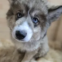 processed/4f071753-0ad4-41db-b7bd-c5be2bcd625f/facility/0d21406f-4005-40ae-a01d-2bd79af66a6e