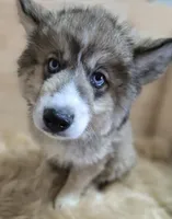 processed/4f071753-0ad4-41db-b7bd-c5be2bcd625f/facility/0d21406f-4005-40ae-a01d-2bd79af66a6e