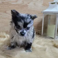 processed/4f071753-0ad4-41db-b7bd-c5be2bcd625f/facility/1c0409ab-178e-4554-b643-00de82f5ccdf