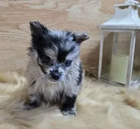 processed/4f071753-0ad4-41db-b7bd-c5be2bcd625f/facility/1c0409ab-178e-4554-b643-00de82f5ccdf