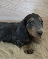 processed/4f071753-0ad4-41db-b7bd-c5be2bcd625f/facility/510f0507-3506-407a-8538-1508cf30a5b9