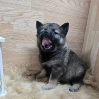 processed/4f071753-0ad4-41db-b7bd-c5be2bcd625f/facility/9239ed3e-59d6-4fd4-944a-36f240ff5dd8