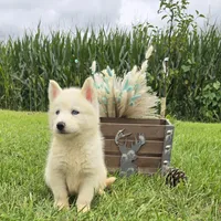 processed/4f071753-0ad4-41db-b7bd-c5be2bcd625f/facility/9673e5ac-70ef-4f0b-9291-6983a779091d