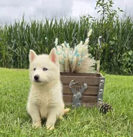 processed/4f071753-0ad4-41db-b7bd-c5be2bcd625f/facility/9673e5ac-70ef-4f0b-9291-6983a779091d