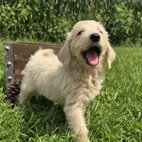 processed/4f071753-0ad4-41db-b7bd-c5be2bcd625f/facility/97717f43-0f29-424b-91e0-10a26ed3e534