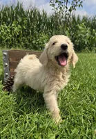 processed/4f071753-0ad4-41db-b7bd-c5be2bcd625f/facility/97717f43-0f29-424b-91e0-10a26ed3e534