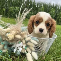 processed/4f071753-0ad4-41db-b7bd-c5be2bcd625f/facility/ad8e19cc-26d2-4fd7-a6eb-308a898d00ff