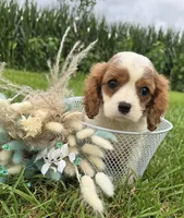 processed/4f071753-0ad4-41db-b7bd-c5be2bcd625f/facility/ad8e19cc-26d2-4fd7-a6eb-308a898d00ff