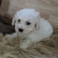 processed/4f071753-0ad4-41db-b7bd-c5be2bcd625f/facility/bc8cd91f-2926-4809-ab24-cea43f9dfcce