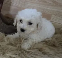 processed/4f071753-0ad4-41db-b7bd-c5be2bcd625f/facility/bc8cd91f-2926-4809-ab24-cea43f9dfcce