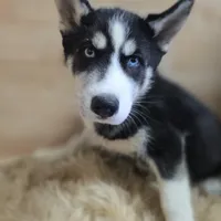 processed/4f071753-0ad4-41db-b7bd-c5be2bcd625f/facility/ccb15935-0121-4a93-9e0b-2526af80b813