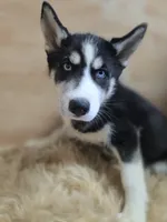 processed/4f071753-0ad4-41db-b7bd-c5be2bcd625f/facility/ccb15935-0121-4a93-9e0b-2526af80b813