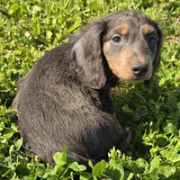 processed/4f071753-0ad4-41db-b7bd-c5be2bcd625f/facility/ef288823-6ff2-4bfd-950c-948b3ca05695