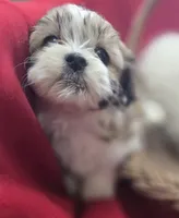 processed/4f071753-0ad4-41db-b7bd-c5be2bcd625f/listing/1f818587-157c-43ef-b1ff-a57adb068dd9/126063f0-b8f6-4d9e-9866-8cd63a4c2548