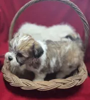 processed/4f071753-0ad4-41db-b7bd-c5be2bcd625f/listing/1f818587-157c-43ef-b1ff-a57adb068dd9/1b728c07-06b8-4f28-9669-6742d3f91c09