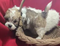 processed/4f071753-0ad4-41db-b7bd-c5be2bcd625f/listing/1f818587-157c-43ef-b1ff-a57adb068dd9/1cd13873-3fbf-46f1-8112-60b7d52de870