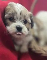 processed/4f071753-0ad4-41db-b7bd-c5be2bcd625f/listing/1f818587-157c-43ef-b1ff-a57adb068dd9/6281e3e0-730a-4ea5-8b2b-27253dd82b63