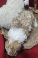 processed/4f071753-0ad4-41db-b7bd-c5be2bcd625f/listing/1f818587-157c-43ef-b1ff-a57adb068dd9/e648542b-ffe5-47f0-927e-c9925e07cdee