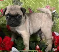 processed/4f071753-0ad4-41db-b7bd-c5be2bcd625f/listing/3ce73e86-6e1c-4879-88ba-835f5b046f60/eddabd07-351f-4c09-b0c7-62d855b6fb58