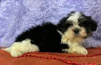 processed/4f071753-0ad4-41db-b7bd-c5be2bcd625f/listing/43afa9d5-0308-4974-a5af-37cb3b466582/00a1fd25-de4d-41a9-a7ed-12e516cc5283