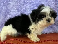 processed/4f071753-0ad4-41db-b7bd-c5be2bcd625f/listing/43afa9d5-0308-4974-a5af-37cb3b466582/9dbc6461-d1cb-44b3-ae28-a8f5ebfafc40