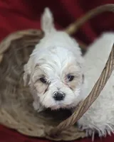 processed/4f071753-0ad4-41db-b7bd-c5be2bcd625f/listing/48e5e042-35e6-4b39-8286-0702838c5a02/5b7d5d4e-8037-4d19-9660-a1b59fa20f97