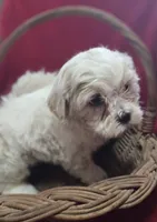 processed/4f071753-0ad4-41db-b7bd-c5be2bcd625f/listing/48e5e042-35e6-4b39-8286-0702838c5a02/85d274f7-43a0-4251-a31f-48178164068a