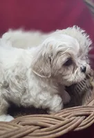 processed/4f071753-0ad4-41db-b7bd-c5be2bcd625f/listing/48e5e042-35e6-4b39-8286-0702838c5a02/c286e399-0179-4832-8c14-31d7c8f5de0c