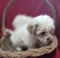 processed/4f071753-0ad4-41db-b7bd-c5be2bcd625f/listing/752e95c6-cb52-443d-90d1-8b32dfc3d0bc/8dae3627-e1e4-4a0f-841d-d1d17ece4edb