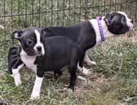 processed/4f071753-0ad4-41db-b7bd-c5be2bcd625f/listing/af4eeb6c-f4d8-44ea-8454-ef0c670868dc/ce44aad8-aeb6-41e5-9a04-50ea62698649