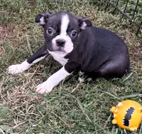 processed/4f071753-0ad4-41db-b7bd-c5be2bcd625f/listing/af4eeb6c-f4d8-44ea-8454-ef0c670868dc/eb2cd357-45e4-474c-97a9-a12015fd9095