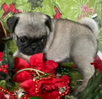 processed/4f071753-0ad4-41db-b7bd-c5be2bcd625f/listing/c027427e-27fb-434c-8955-7c6d62c668a1/571bd400-903f-4f4a-b11e-9efb2e327207