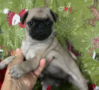 processed/4f071753-0ad4-41db-b7bd-c5be2bcd625f/listing/c027427e-27fb-434c-8955-7c6d62c668a1/b3dc77ef-2c6b-40ea-bb86-a5fe94eb229b