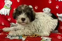 processed/4f071753-0ad4-41db-b7bd-c5be2bcd625f/listing/c639e83e-8fe6-47c2-a251-eab262e5cefe/7ab8ca26-577f-4259-8775-df91360e6ec1